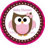 Baby Owl Baby Shower Sticker Labels 2 Inch Round..